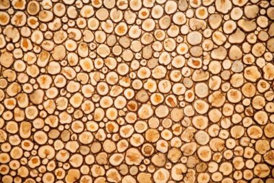 Kadakapaneelid saunainterjööri