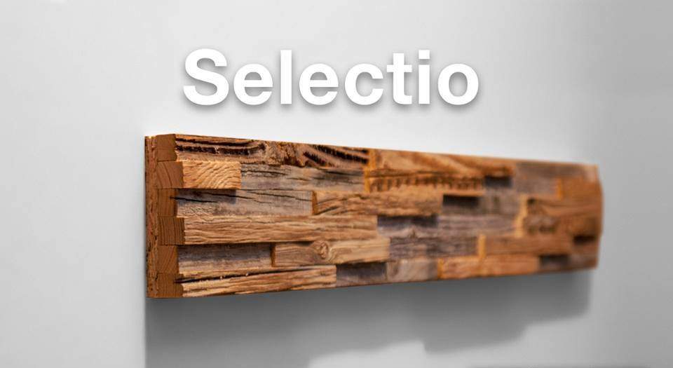 Dekoratiivne seinapaneel SELECTIO