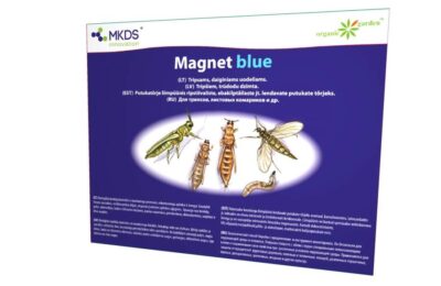 Putukatõrjevahend. Magnet blue liimpüünis