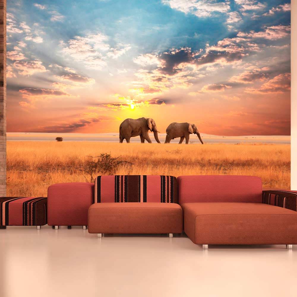 Fototapeet – African savanna elephants