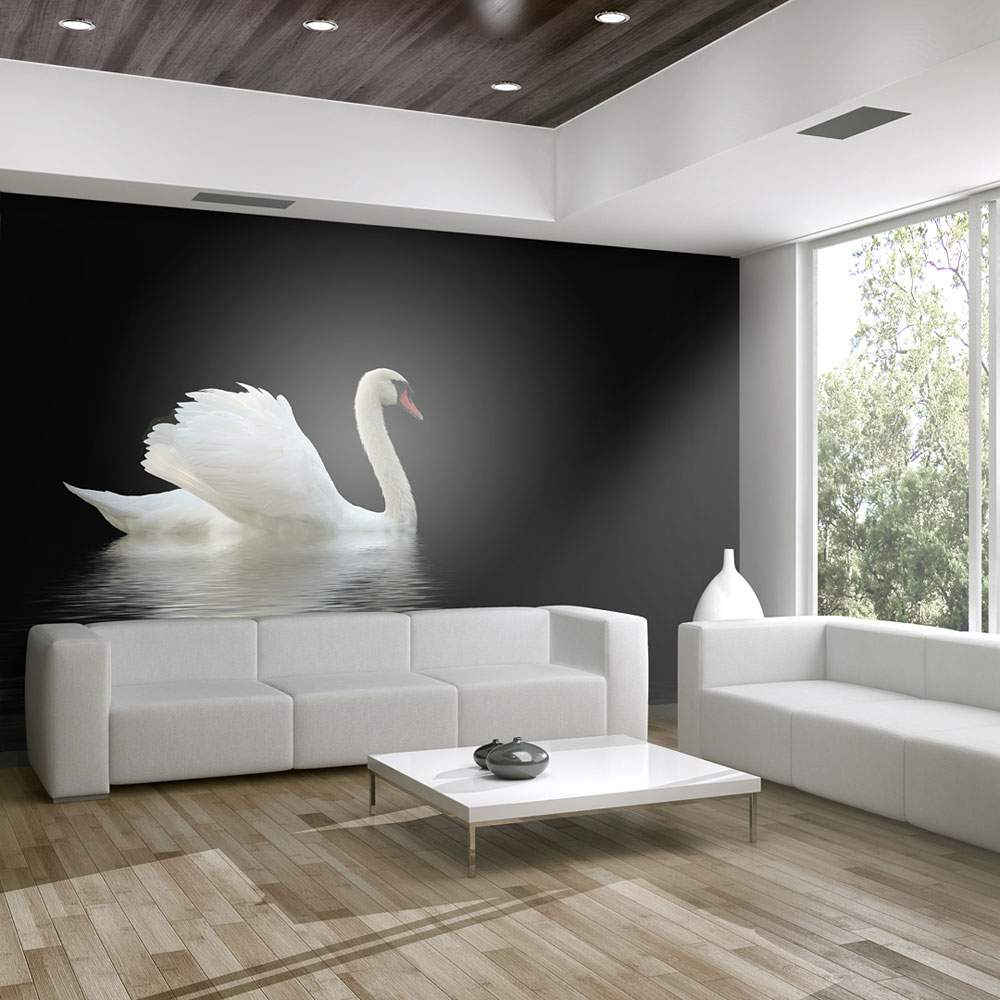 Fototapeet – swan (black and white)