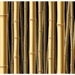 Bamboo_Forest_black