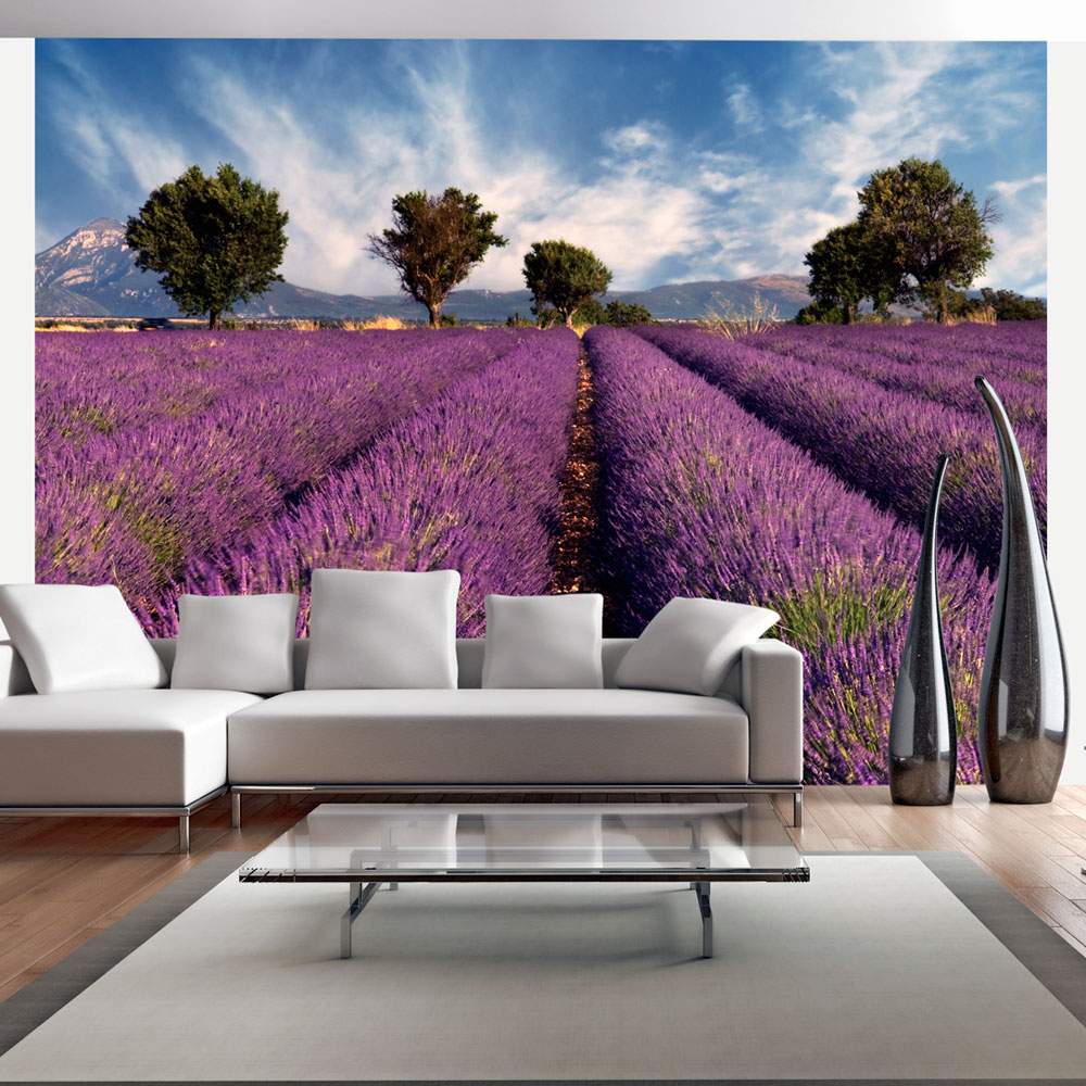 Fototapeet – Lavender field in Provence