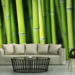 Fototapeet – Bamboo