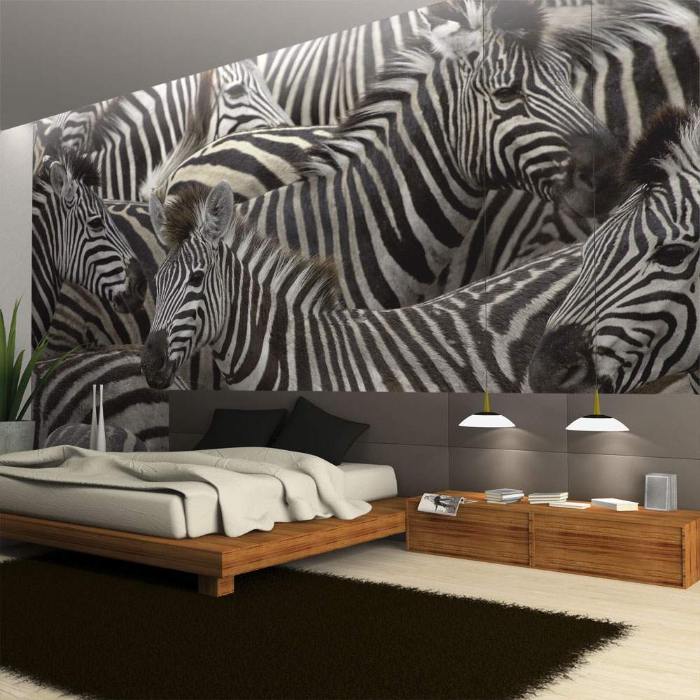 Fototapeet – Herd of zebras