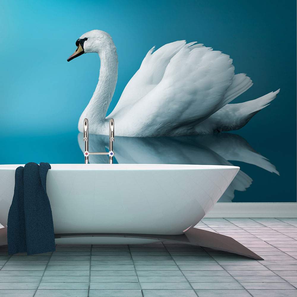 Fototapeet – swan – reflection