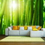 Fototapeet – Sun and bamboo