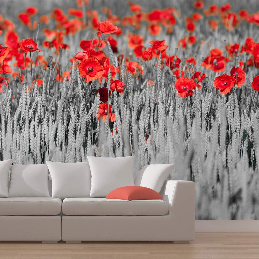 Fototapeet – Red poppies on black and white background
