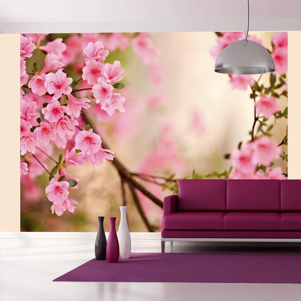 Fototapeet – Pink azalea