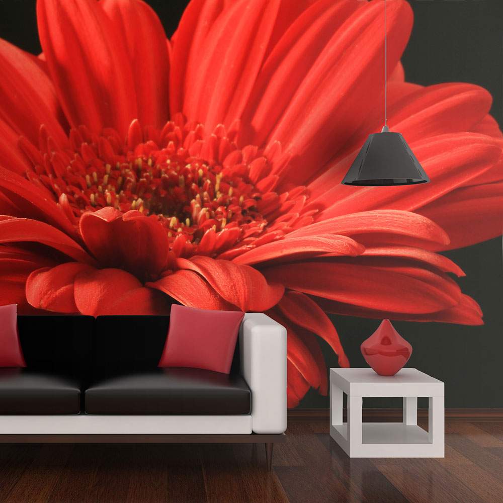 Fototapeet – Red gerbera flower