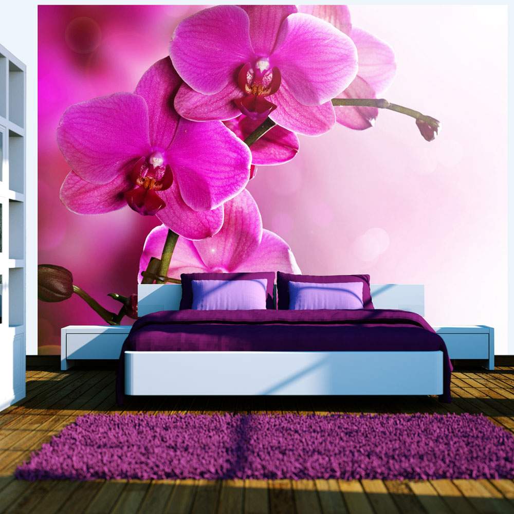 Fototapeet – Pink orchid