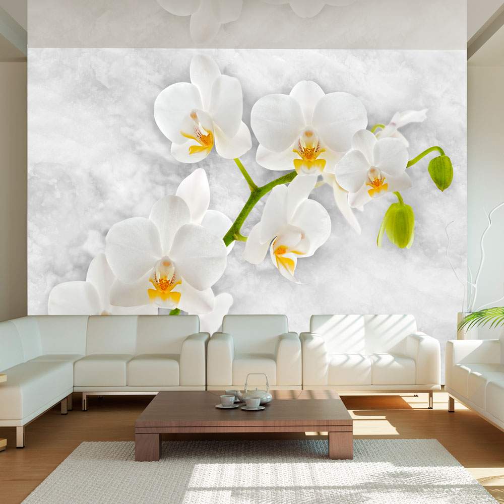 Fototapeet – Lyrical orchid – White