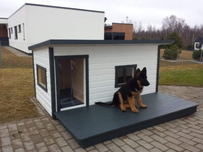 Soojustatud koerakuut Boss 4