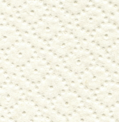 Tualettpaber rullis Prestige/ 2- kihti/12 x 120 m JT1